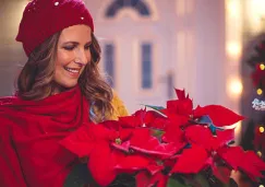 ¿Cuál es el significado de la Nochebuena, la flor de Navidad en México? ¿Cuál es el significado de la Nochebuena, la flor de Navidad en México?