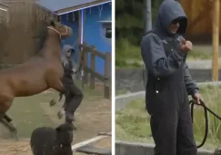 VIDEO: Sergio Mayer Mori sufre accidente con un caballo en La Granja VIP VIDEO: Sergio Mayer Mori sufre accidente con un caballo en La Granja VIP