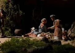 UNAM pide no usar musgo natural en decoraciones navideñas: estas son las razones UNAM pide no usar musgo natural en decoraciones navideñas: estas son las razones