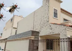 Familias en el fraccionamiento Florencia ya no saben qué hacer y temen por su salud.