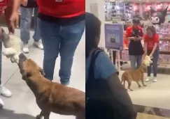 La gente se conmovió tanto que le dieron el osito para que siguiera jugando con él.