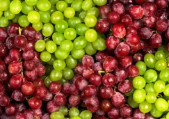 Uvas rojas vs. verdes: ¿cuáles son sus diferencias y qué elegir para Año Nuevo 2026?