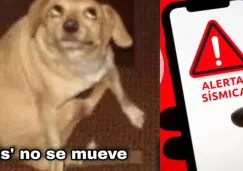 Checa los mejores MEMES del sismo de 5.3 grados que despertó a México hoy 16 de enero 