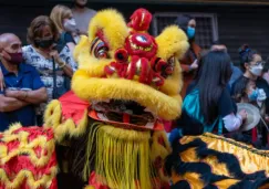 Dragones, danza y fiesta: así se vivirá el Año Nuevo Chino 2026 en CDMX