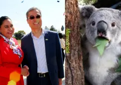 El error tomó relevancia unos días después de la entrega de computadoras. El error tomó relevancia unos días después de la entrega de computadoras.