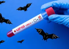 Virus Nipah en India confirman cinco casos cerca de Calcuta hay casi 100 personas en cuarentena