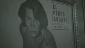 Documental del Perro Aguayo se estrenará en RÉCORD+