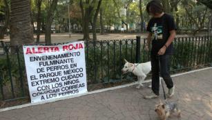 Dueño pasea a sus perros en un parque de la Condesa