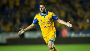 Andre Pierre Gignac festeja un gol de Tigres