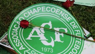 Escudo del Chapecoense con una rosa para recordar a las víctimas del accidente