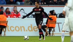 Chicharito disputa un duelo con el Leverkusen en Bundesliga 