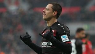 Chicharito celebra un gol del Bayer Leverkusen