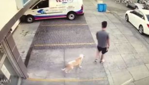 Individuo abandona a su perro frente a una veterinaria