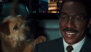 Eddie Murphy hablando con un perrito