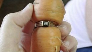 Así creció la zanahoria dentro del anillo