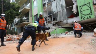 Un grupo de rescate trabaja en un edificio derrumbado