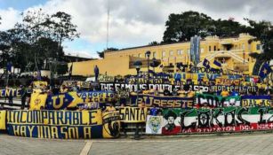 Aficionados de Tigres en Costa Rica para apoyar a los felinos