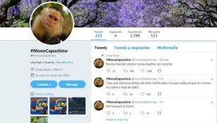 Twitter del desaparecido mono capuchino