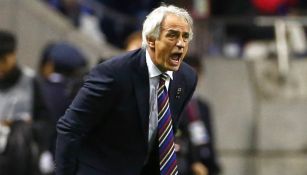 Vahid Halilhodzic, dando instrucciones desde el banquillo