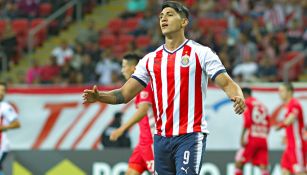 Alan Pulido, lamenta jugada en Concachampions