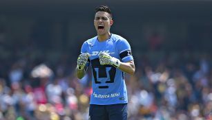 Alfredo Saldívar celebra un gol de Pumas en el C2018