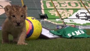 'Sambu' ya pisó la cancha del Nou Camp de León