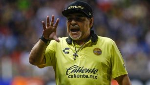 Maradona gesticula en un partido de Dorados