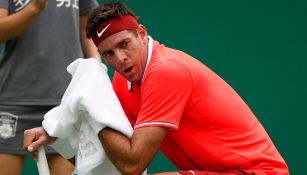 Juan Martín del Potro durante un partido 