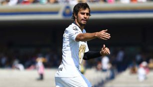 Alejandro Arribas en un partido de los Pumas