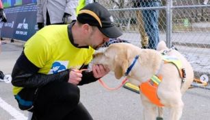 Thomas Panek y su perro guía al concluir el Medio Maratón de NY
