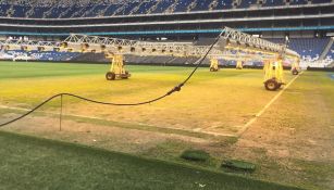 La cancha está siendo tratada con lámparas