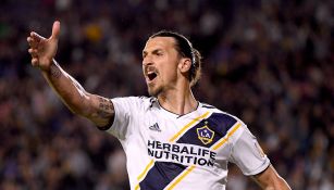 El delantero sueco es la gran figura del Galaxy en la MLS