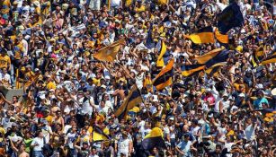 La porra de los Pumas, alentando al equipo en un partido