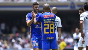 Jugadores de Tigres festejan un gol