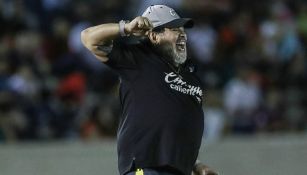 Maradona festeja en un juego de Dorados