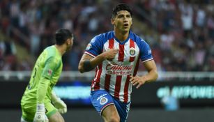 Alan Pulido celebrando un gol ante Querétaro