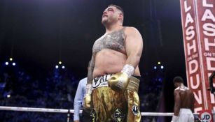 Dillian Whyte: 'Andy Ruiz es un gordo pedazo de mier...'