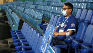 Aficionado del beisbol desde las gradas