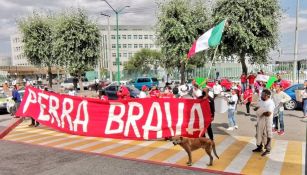 Perra Brava anima a personal médico