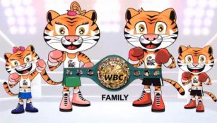 El tigre fue elegido como la mascota del Consejo Mundial de Boxeo 