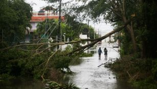 Huracán Delta en México