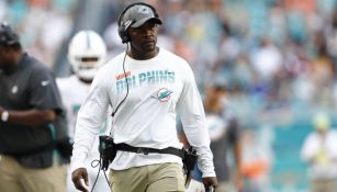 Brian Flores en partido con Dolphins