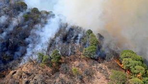 Incendio en Tepoztlán