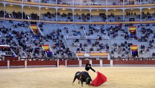 Corridas de toro con público reanudaron en Madrid