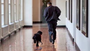 Bo y Obama corriendo por un pasillo