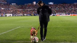 'Tunita' recorre el Alfonso Lastras previo a un juego de los Tuneros