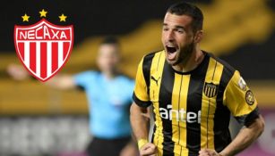 Formiliano, nuevo jugador de Necaxa