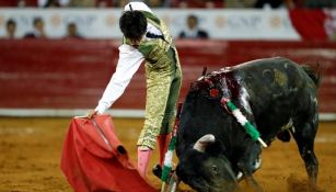 José Alberto Ortega lidia a su segundo toro en la Plaza de Toros México