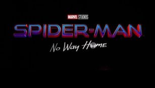 Spider Man: Mujer lleva fotografía de su esposo fallecido a la premier de No Way Home