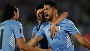 Luis Suárez en festejo con Uruguay